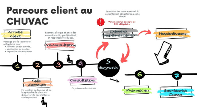 Image d'explication du parcours client au centre hospitalier universitaire vétérinaire